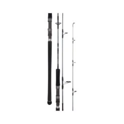 Daiwa 20 TD Saltwater Spin Rod