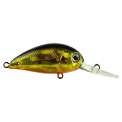 Atomic Hardz Crank Mid Diver Lure 38M -Best Fishing Store BP90110046 gold wolf cb55c8f2 0760 4fd4 8bd7 3d3b41c61d58