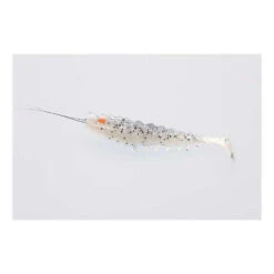 Squidgies Original Paddle Tail Prawn Soft Plastic Lure -Best Fishing Store BP90183824 white lightning