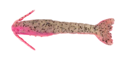 Berkley Gulp Shrimp 4 Inch Soft Plastic Lure -Best Fishing Store Berkley Gulp Shrimp Soft Plastic Pink Belly Shrimp