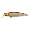 Berkley Pro-Tech Jerk 60mm Hard Body Lure