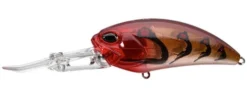 Duo Realis Crank G87 Hard Body Lure -Best Fishing Store Duo Realis Crank G87 Hard Body Omnicraw