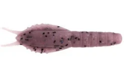 Ecogear Aqua Bream Prawn 40mm Soft Plastic Lure -Best Fishing Store Ecogear Aqua Bream Prawn AU05