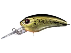 Evergreen Combat Crank Mini MR 44mm Hard Body Lure -Best Fishing Store Evergreen Combat Crank Mini MR Hard Body Lure Baby Bass 122