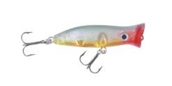 Halco Roosta Surface Popper Lure - 45mm -Best Fishing Store Halco Roosta Surface Popper 60mm Poddy