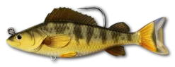 Live Target Yellow Perch Swimbait Lure 7 Live Target Yellow Perch Swimbait Lure -Best Fishing Store Live Target Yellow Perch Swimbait 713 Gold Olive ecd51eab a2eb 4c4d 8ab7 2ed1786cb5b7