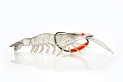 Chasebaits Flick Prawn Heavy Soft Plastic Lure -Best Fishing Store New Flick Prawn col06 Crystal e1407737 4c8f 454e b97a a421db7415fe scaled