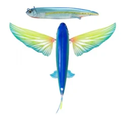 Nomad Design Slipstream Flying Fish Hybrid Lure -Best Fishing Store Nomad Design Slipstream Flying Fish Hybrid Lure Ahi Ghost 5bb09c54 79e1 4254 a3fd 0ed02cd8d0ed
