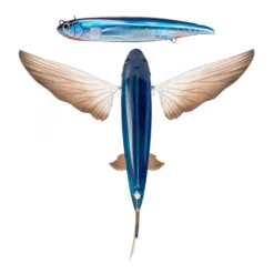 Nomad Design Slipstream Flying Fish Hybrid Lure -Best Fishing Store Nomad Design Slipstream Flying Fish Hybrid Lure Oceanic