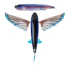 Nomad Design Slipstream Flying Fish Hybrid Lure -Best Fishing Store Nomad Design Slipstream Flying Fish Hybrid Lure Ulysses 2e754d71 4d1c 4ab1 becd b1a50184f083