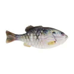 Berkley Powerbait HD Gilly Soft Plastic Lure -Best Fishing Store PowerBaitGilly HDCrappie alt1