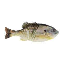 Berkley Powerbait HD Gilly Soft Plastic Lure -Best Fishing Store PowerBaitGilly HDSunfish alt1