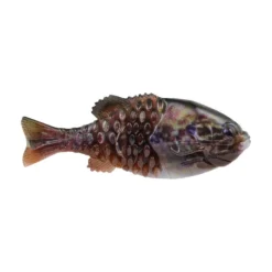 Berkley Powerbait HD Gilly Soft Plastic Lure -Best Fishing Store PowerBaitGilly HDWarmouth alt1