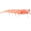 Pro Lure Prolure Clone Prawn Soft Plastic Lure 62mm
