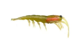 Pro Lure Prolure Clone Prawn Soft Plastic Lure 62mm 11 Pro Lure Prolure Clone Prawn Soft Plastic Lure 62mm -Best Fishing Store ProlureClonePrawnSoftPlastic GreenTiger