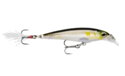 Rapala XR04 X Rap Hard Body Lure Ayu - Mega Clearance