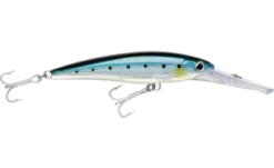 Rapala X-Rap XRMAG40 180mm 97g Hard Body Lure -Best Fishing Store Rapala XRMAG Hard Body Blue Sardine 630c5991 ee26 415e a3bd 9cbb38d783b7