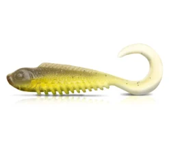 Squidgies Wriggler Soft Plastic Lure -Best Fishing Store Squidgies Bio Tough Wriggler Soft Plastic Wasabi 4c55d23d 732c 4b25 9207 c7d0cb333017