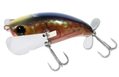 Jackall Pompadour Junior 66mm Topwater Fishing Lure 20 Jackall Pompadour Junior 66mm Topwater Fishing Lure -Best Fishing Store bloody core pompadour jnr 1