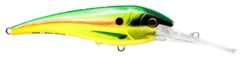 Nomad Design DTX Minnow 120mm 35g Floating Hard Body Lure -Best Fishing Store calypso 85 1 1