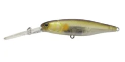 Jackall DD Squirrel 67SP Hard Body Lure -Best Fishing Store ghost ayu squirrel 2 1