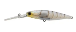 Jackall DD Squirrel 67SP Hard Body Lure -Best Fishing Store ghost shrimp squirrel 1 1