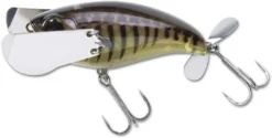 Jackall Pompadour Junior 66mm Topwater Fishing Lure 16 Jackall Pompadour Junior 66mm Topwater Fishing Lure -Best Fishing Store gill bone pompadour jnr 1