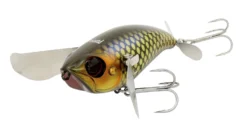 Jackall Pompadour 79mm Topwater Fishing Lure -Best Fishing Store gold black pirarucu pompadour 1