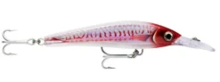 Rapala X-Rap XRMAGXT 160mm 68g Hard Body Lure -Best Fishing Store hdrhu