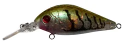 Balista Trance 50mm Flashing LED Hard Body Lure -Best Fishing Store hybrid green trance 1