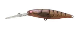 Jackall DD Squirrel 67SP Hard Body Lure -Best Fishing Store pink eye suji squirrel 2 1