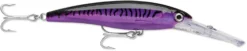 Rapala X-Rap XRMAG40 180mm 97g Hard Body Lure -Best Fishing Store purp