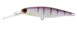 Jackall DD Squirrel 67SP Hard Body Lure -Best Fishing Store purple gill squirrel 1 1