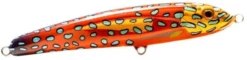 Nomad Design Riptide 200mm 90g Floating Stickbait Fishing Lure -Best Fishing Store rip125 ss ct 800xCTCORALTROUT 11c33c6f 07c7 4038 914a 24e0fa47ac29