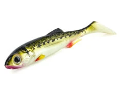 Molix RT Shad 3.5 Inch Soft Plastic Lure -Best Fishing Store rt shad 35 50 vairone 1
