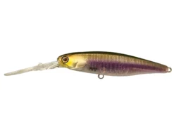 Jackall DD Squirrel 67SP Hard Body Lure -Best Fishing Store shigure wakasagi squirrel 1 1