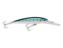 Rapala X-Rap XRMAG20 140mm 46g Hard Body Lure -Best Fishing Store xrmag bsrd